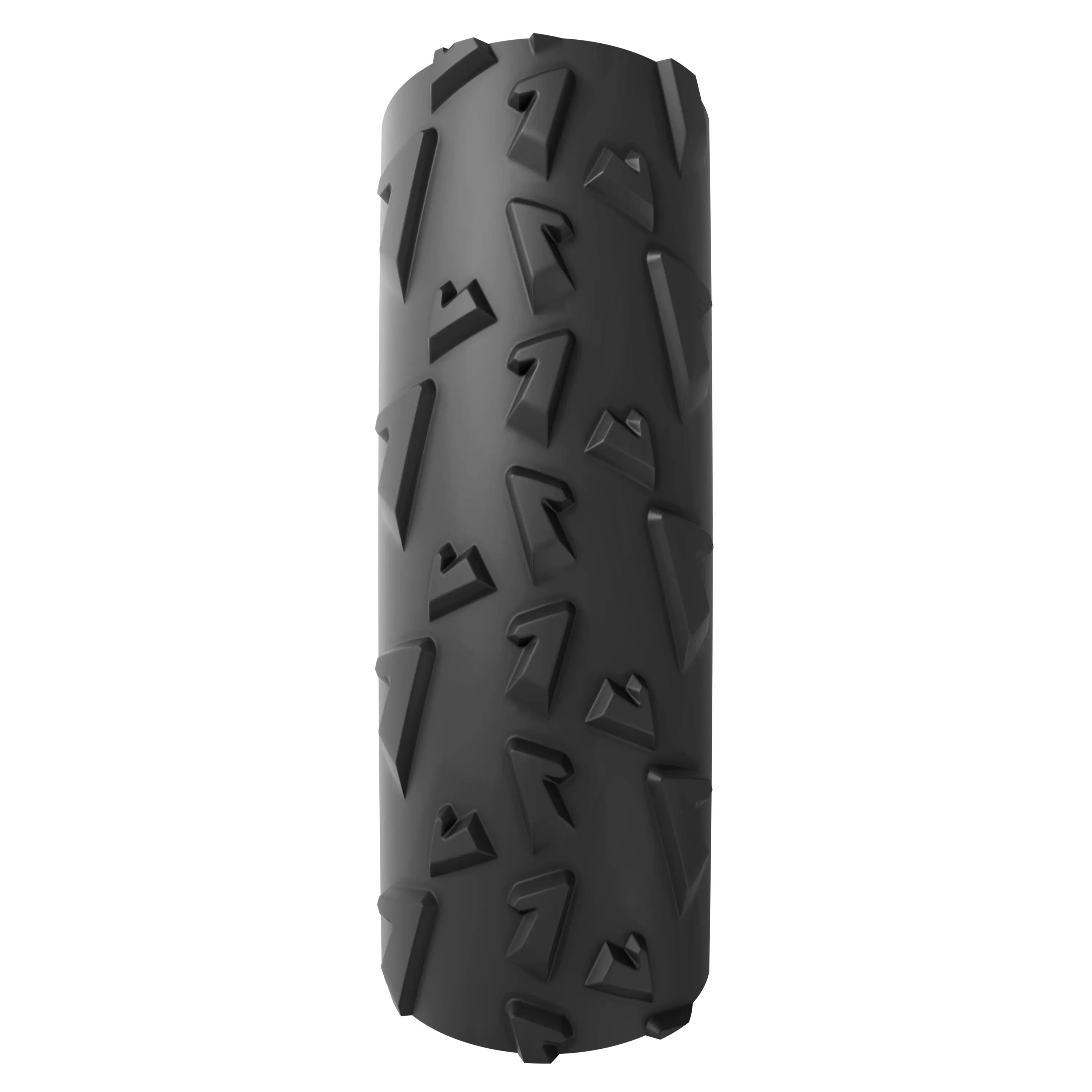 A Dugast Rhino Tubeless-Ready