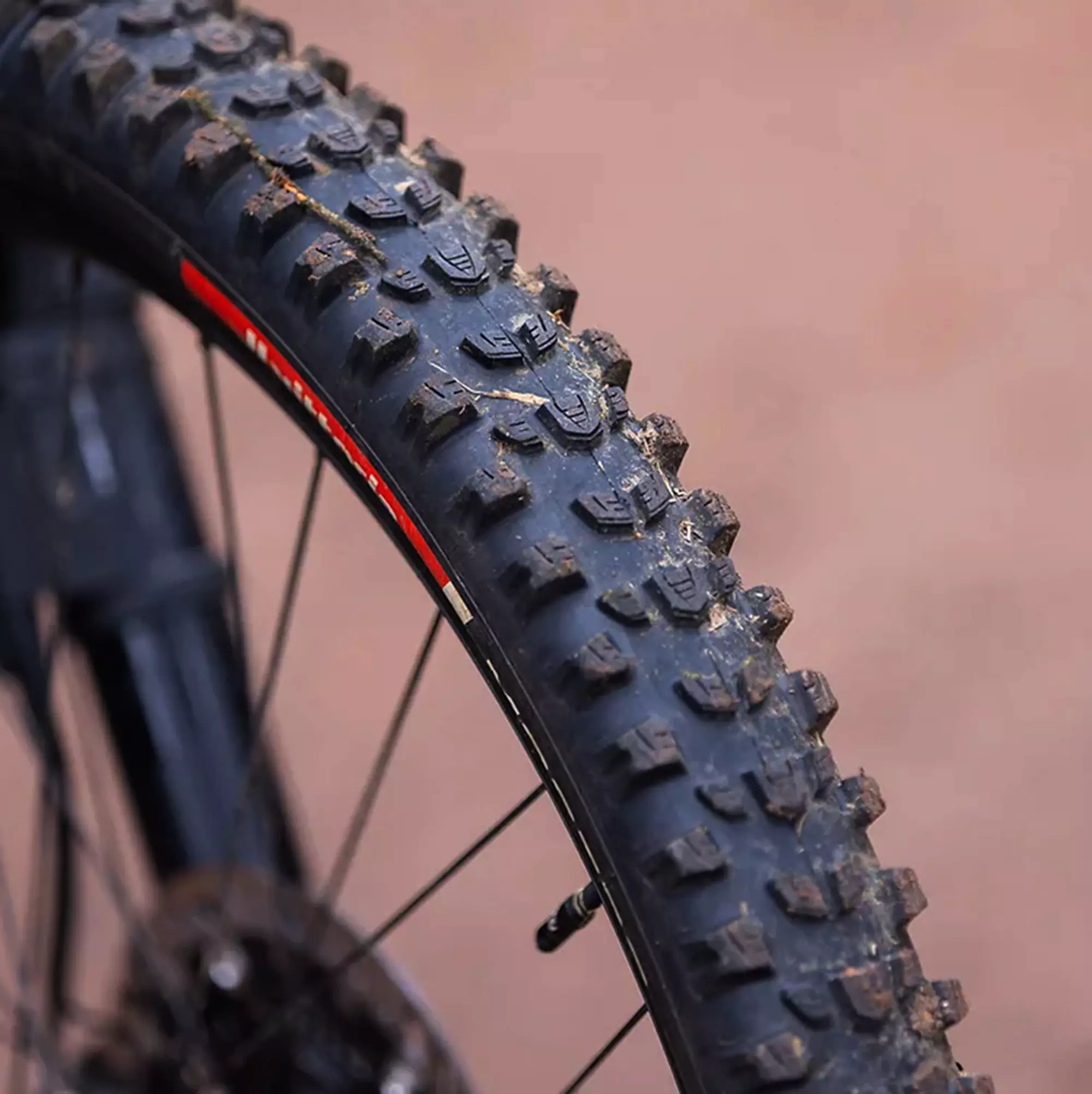 454-mostro-enduro-race-6.webp Mostro Enduro Race