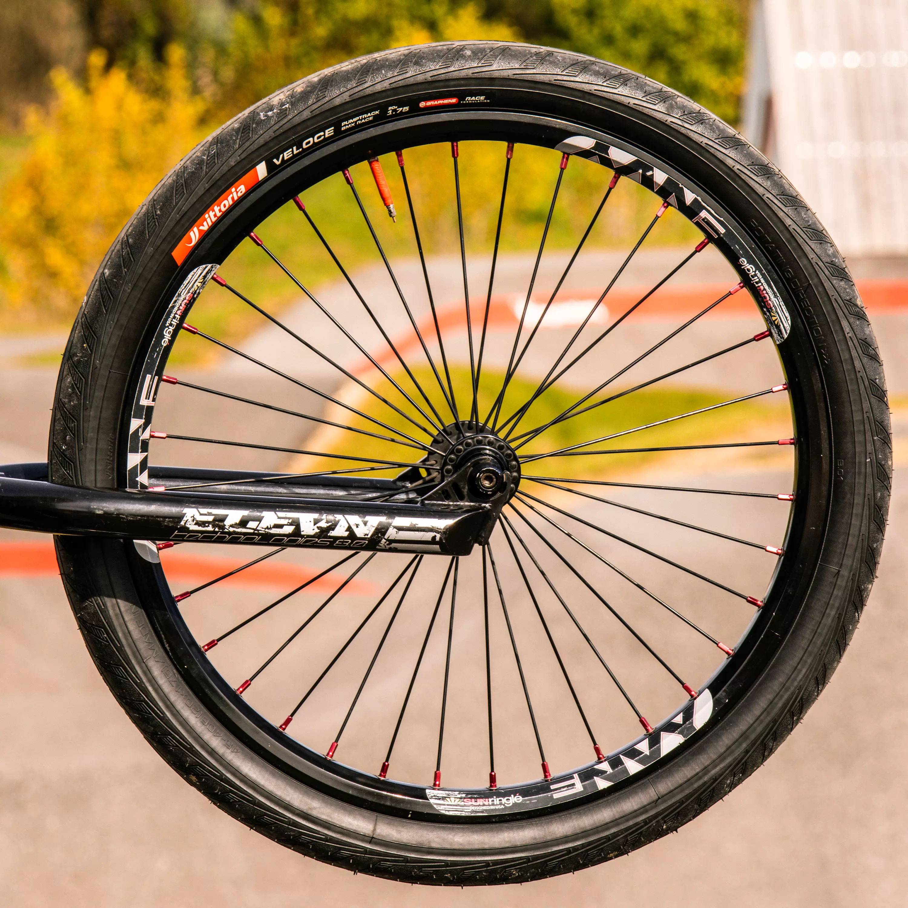 474-veloce-3.webp Veloce